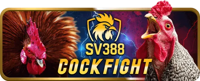 Tổng quan nền tảng i9bet58
